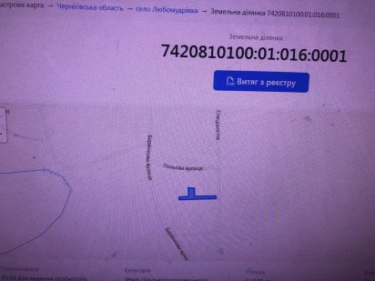 земельна ділянка Борзна