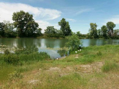 Земельный участок под застройку котеджного городка. Крехаев