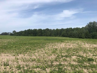 Продам 2 га. 39 км. от г. Киев ! СРОЧНО (Р88) Крехаев