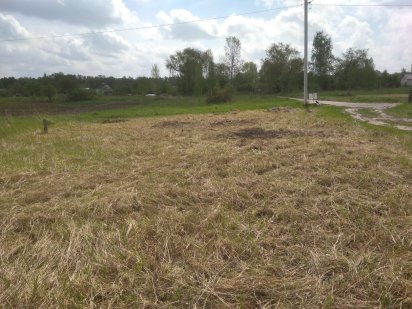 Дачный участок общество хризантема Полуботки