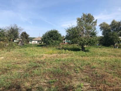 Земельный участок Земельна ділянка Батурин Батурин