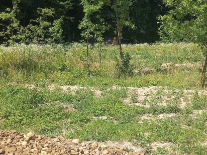 Продається земельна ділянка м.Сторожинець для будівництва центр міста Сторожинець