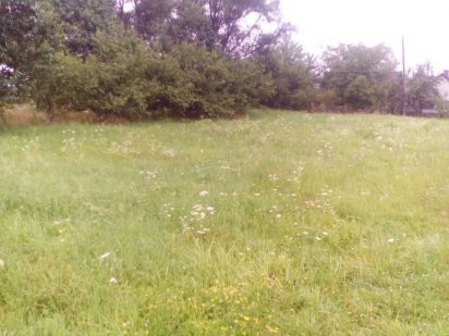 Продається земельна ділянка 0.62га Сторожинец