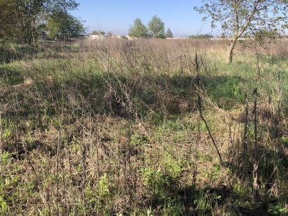 Земельна ділянка Чагор