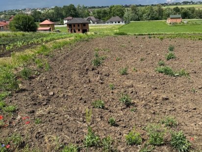 Продаж ділянки в с.Коровія Чагор