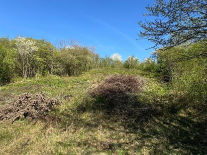 Земельна ділянка с.Чагор Чагор