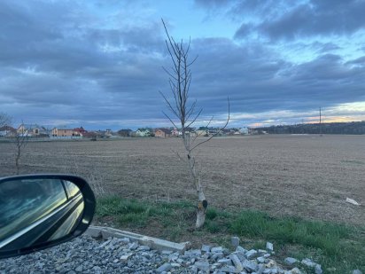 Земельна ділянка с.Чагор 49 сотих Чагор