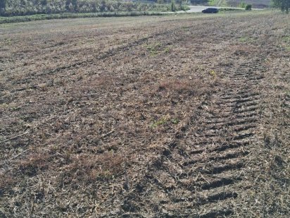 Продам земельну  ділянку з паю Чагор