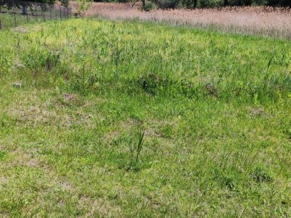 Продається земельна ділянка Чагор