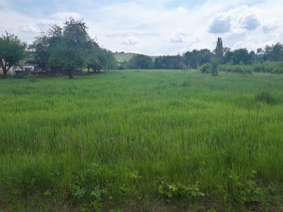 с.Великий Кучурів гарна рівнинна ділянка під будівництво від власника Великий Кучуров