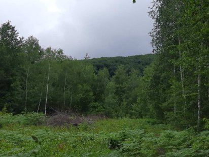 Продається земельна ділянка с.Мигово Мигове