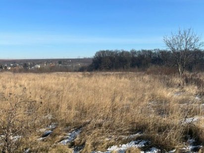 Продається земельна ділянка Кицмань