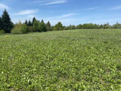 Продам земельну ділянку в с.Мигово Мигово