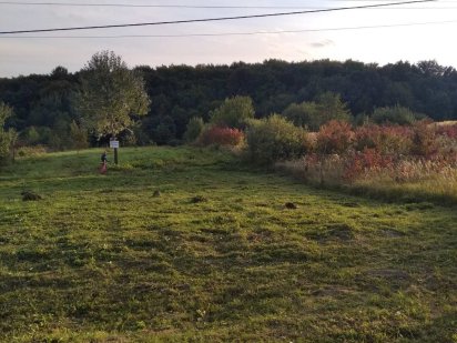 Панорама возле леса и дороги22 сотых ЛСХ, Камянная. Заволока