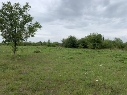 Земельна ділянка 25 соток с.мамаївці (участок) Мамаевцы