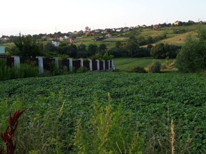 Земельна ділянка. .Коровія Коровія