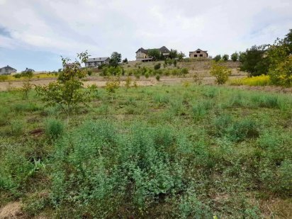 2 земельні ділянки під забудову, с. Коровія, Чернівці Коровія