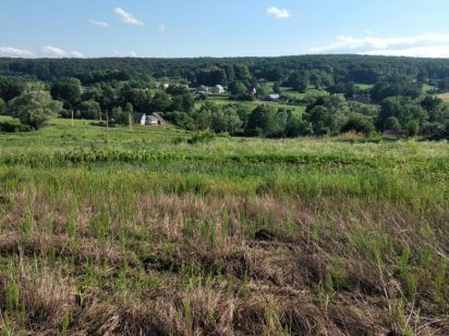 Земельна ділянка Валя Кузьміна Валя Кузьмина