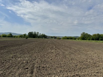 Продаж земельної ділянки Лужани Лужаны