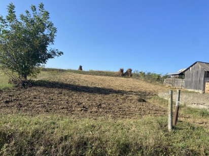 Продається земельна ділянка ТЕРМІНОВО Острица