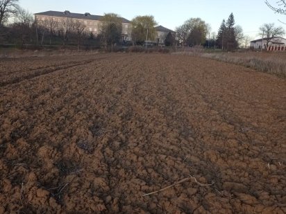 Продається участок 40 соток, село Острица Герцаївський р-н Острица