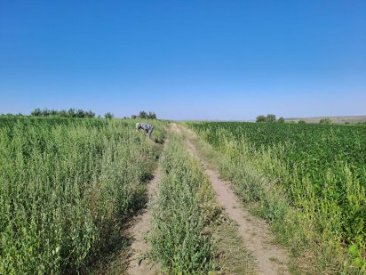 Продам землю ,город 0.37 га Редковцы