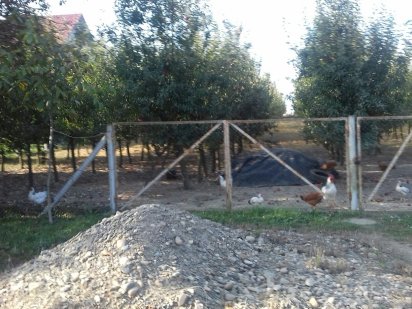 Земельна ділянка.