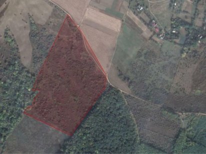 Продам 12 га у Молодії Молодия