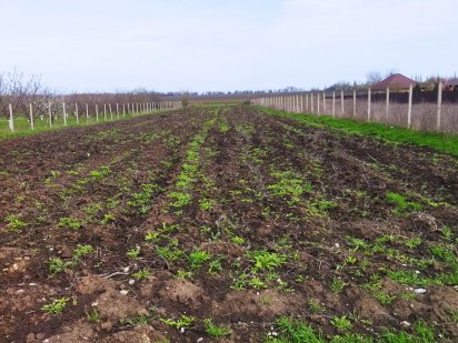 Участок под застройку