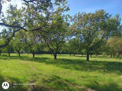 Продам земельну ділянку під забудову . Ростуще