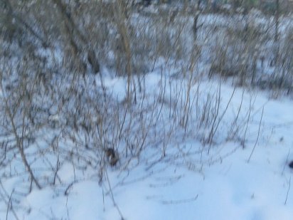 дачный участок ул.Молочная Шевченковский р-н Ростуще