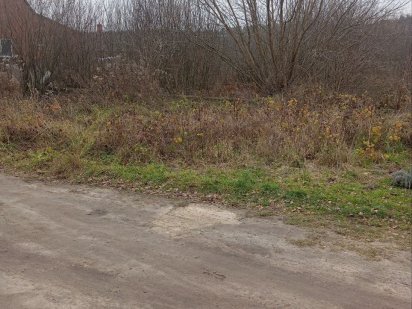 Земельна ділянка Любомль