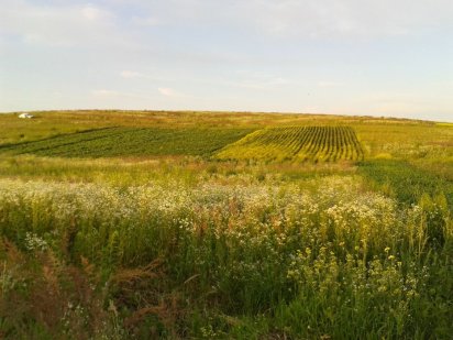 Земельна ділянка в с. Забороль продам або обміняю на авто Забороль