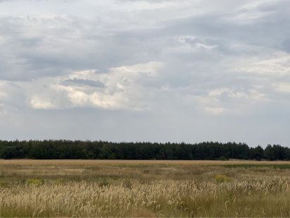 Продаётся приватизированный участок в Куриловке Куриловка