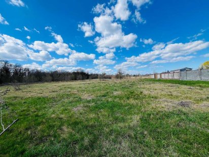 Земельна ділянка з вихідом в ліс, смт Курилівка Куриловка
