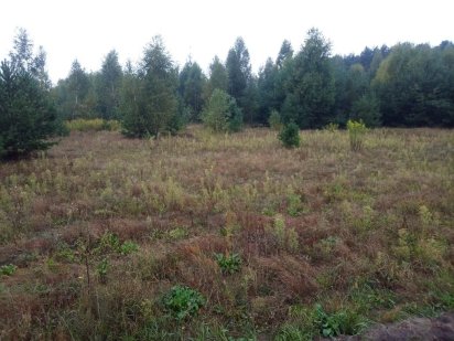 Продам земельну ділянку під ОСГ біля озера Світязь!!! Пульмо