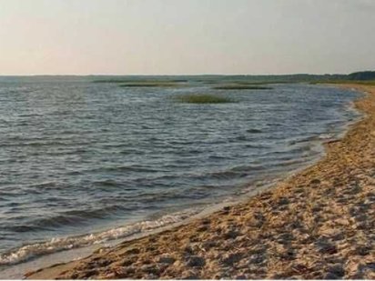 Продається земельна ділянка-пай Пульмо