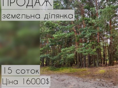 ПРОДАЖ земельна ділянка с.Пульмо між озерами Пульмо