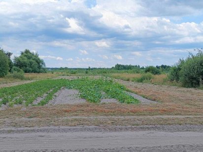 Продам земельну ділялянку в селі Пульмо Пульмо