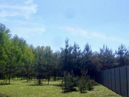 ВЛАСНИК VIP елітні ділянки у сосновому лісі Терентіївка точка збору Полтава