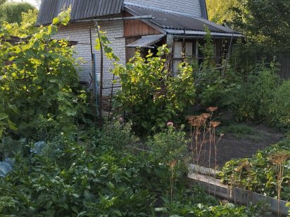 Дачна ділянка площею 3 сотки на вулиці Криничній. Суми