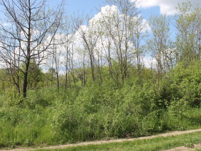 Земельна ділянка р-н Лазурний Полтава