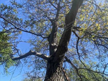 Велика ділянка на  красній лінії на Алмазному! Полтава