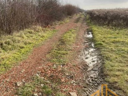 Продаж земельної ділянки | Сторожниця