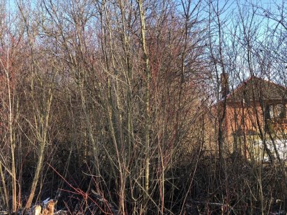 Ділянка в Садовому р-ні,права сторона Ужгород