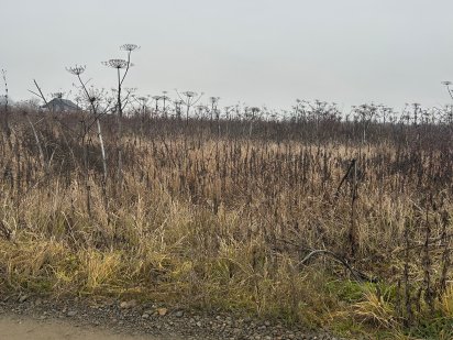 Ділянки земельні район Ріо коли Ужгород