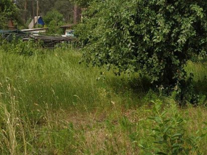 Ексклюзив!!!    ДАЧНА ділянка р-н Подусівки ст. "За мир" 11,64 сотки Чернигов