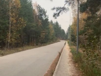 Продаж ділянки за 5 хв до м Лісова, Биківня, 5 сот, сосни