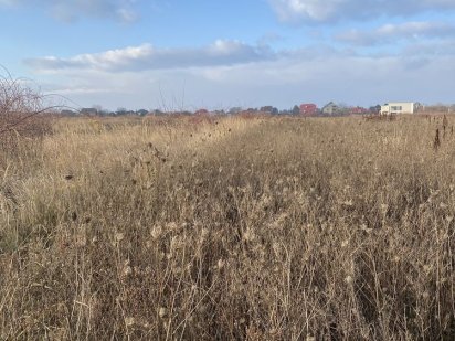 Земля Сторожниця земельна ділянка урочища Чонкаш Ужгород