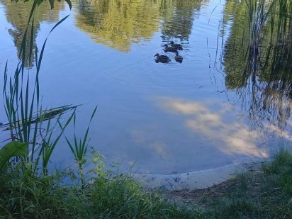 земельна ділянка  Русанівських садах біля озера  Десенки без комісіі Київ